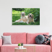2 Golden Retrievers Laying in Grass Canvas Afdruk (Insitu (Woonkamer))