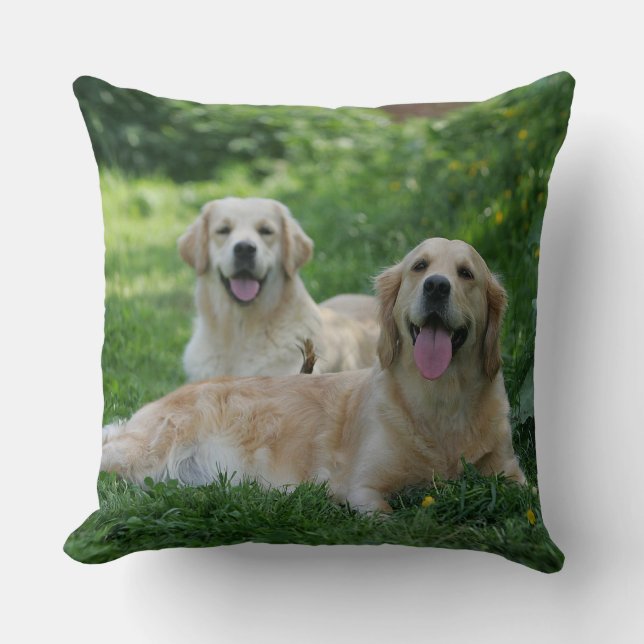 2 Golden Retrievers Laying in Grass Kussen (Voorkant)