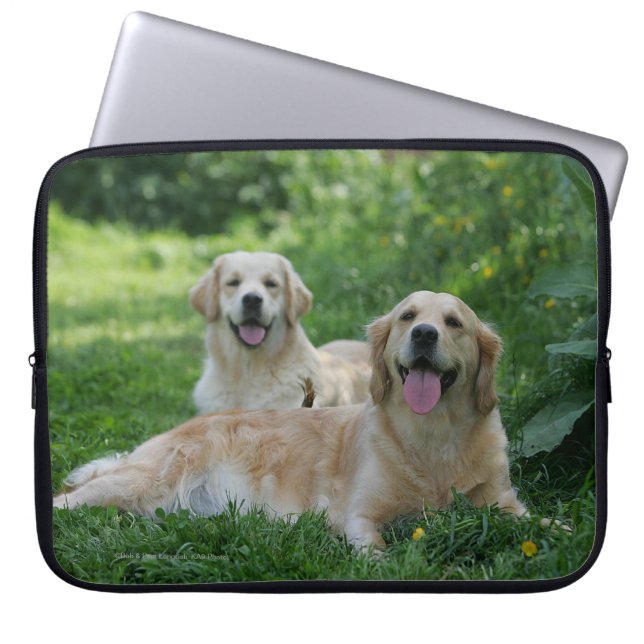 2 Golden Retrievers Laying in Grass Laptop Sleeve (Voorkant)
