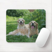 2 Golden Retrievers Laying in Grass Muismat (Met muis)