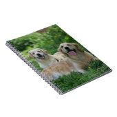 2 Golden Retrievers Laying in Grass Notitieboek (Rechterzijde)
