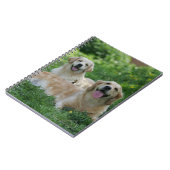 2 Golden Retrievers Laying in Grass Notitieboek (Linkerzijde)