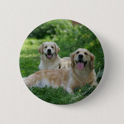 2 Golden Retrievers Laying in Grass Ronde Button 5,7 Cm (Voorkant)