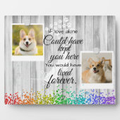 2 Herdenking van het herdenkingsprogramma voor col Fotoplaat (Voorkant)