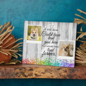 2 Herdenking van het herdenkingsprogramma voor col Fotoplaat (Zijkant)