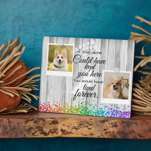 2 Herdenking van het herdenkingsprogramma voor col Fotoplaat (Zijkant)