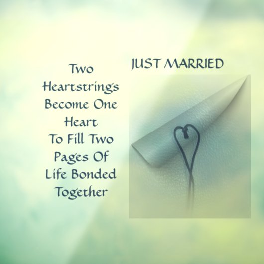 2 Hoofdtekenreeksen 2 Pagina's 1 Levensspiegel aut Raamsticker (Vel 3)