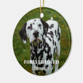 2 huisdierfoto's en gratis tekst gepersonaliseerde keramisch ornament (Links)