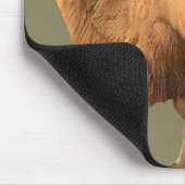 2 HUMP CAMEL MUISMAT (Hoek)