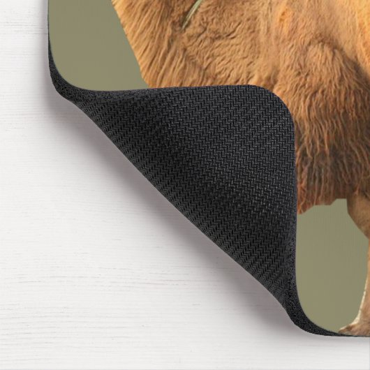 2 HUMP CAMEL MUISMAT (Hoek)