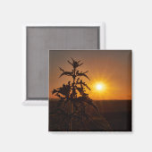 2 inch vierkante magneet met een prachtige zonsond (Voorkant / Achterkant)