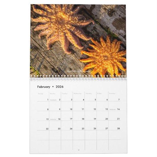 2 jaar 2024 /2025 Kalender (Feb 2026)