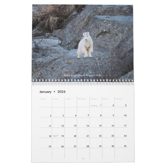 2 jaar 2024 /2025 Kalender (Jan 2026)