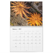 2 jaar 2024 /2025 Kalender (Feb 2027)