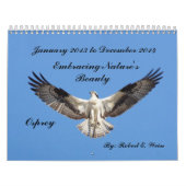2 jaar Kalender voor vogels vanaf januari 2013 (Hoes)