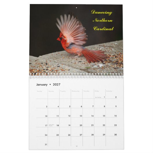 2 jaar Kalender voor vogels vanaf januari 2013 (Jan 2027)