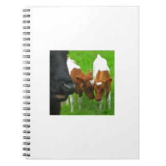 2 Kalveren Notitieboek