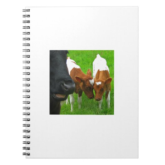 2 Kalveren Notitieboek (Voorkant)