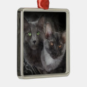2 katten groene ogen oranje ogen grijze kat zwarte metalen ornament (Rechts)