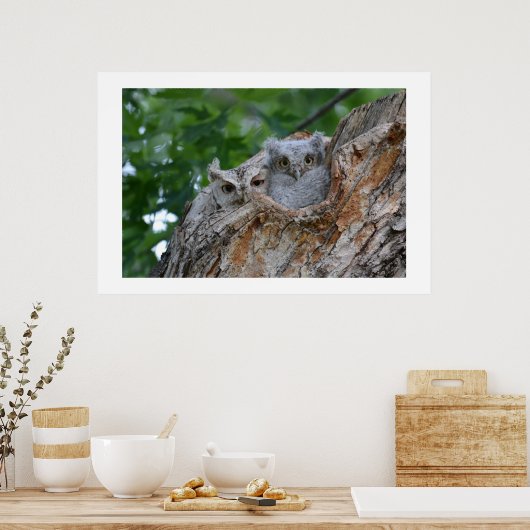 2 kleine lubelvogels poster (Keuken)