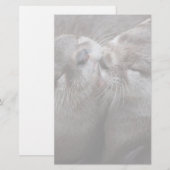 2 Knuffelende Otters Natuurfotografie Briefpapier (Voorkant / Achterkant)
