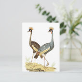 2  kraanvogel Briefkaart (Staand voorkant)