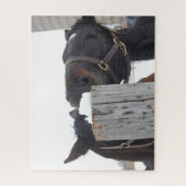 2 Kute paarden Kauwend op een omheining Post Legpuzzel (Verticaal)