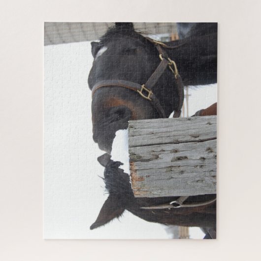 2 Kute paarden Kauwend op een omheining Post Legpuzzel (Verticaal)