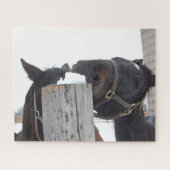 2 Kute paarden Kauwend op een omheining Post Legpuzzel (Horizontaal)