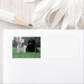 2 laboratoria.png etiket (Insitu)