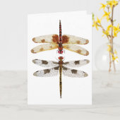 2 libellen kijken elkaar aan kaart (Gele Bloem)