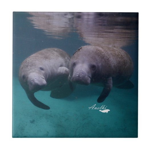 2 Manateeg - keramische tegels voor vrienden Tegeltje (Voorkant)