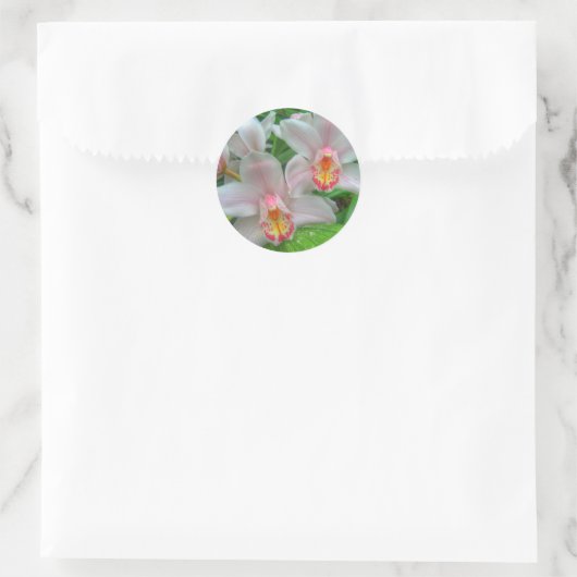 2 mooie orchideeën ronde sticker (Tas)