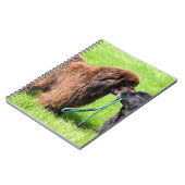 2 newfies.png notitieboek (Linkerzijde)