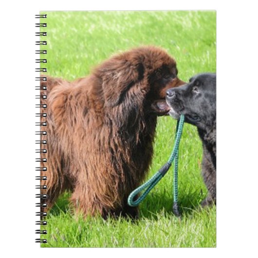 2 newfies.png notitieboek (Voorkant)