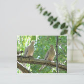 2 ochtenddoven briefkaart (Staand voorkant)