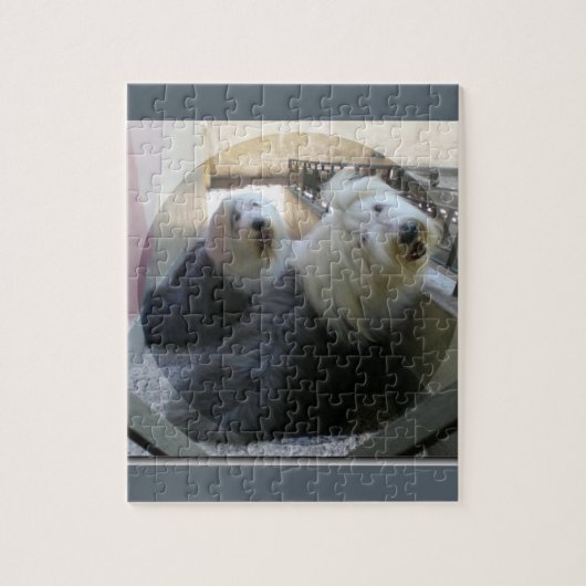 2 oude engelse schapen honden legpuzzel (Verticaal)
