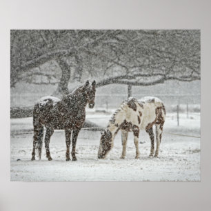 2 Paarden buiten in de winter tijdens het sneeuwwe Poster