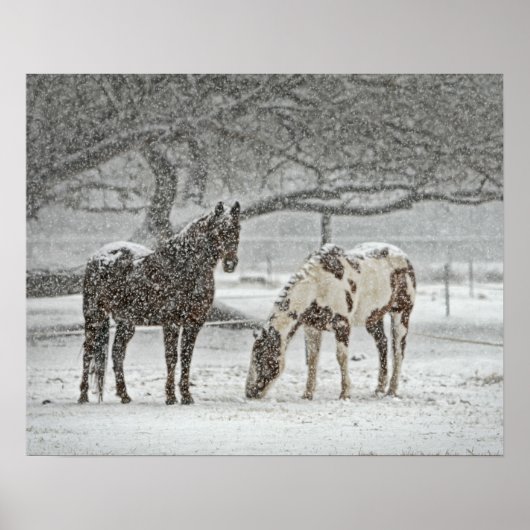 2 Paarden buiten in de winter tijdens het sneeuwwe Poster (Voorkant)