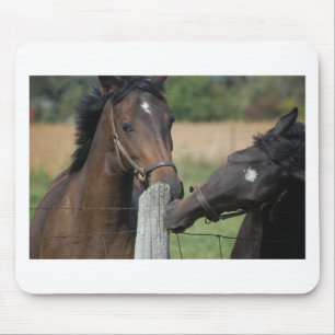 2 Paarden die een omheining kauwen Muismat