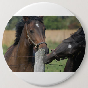 2 Paarden die een omheining kauwen Ronde Button 6,0 Cm