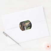 2 Paarden die een omheining kauwen Ronde Sticker (Envelop)