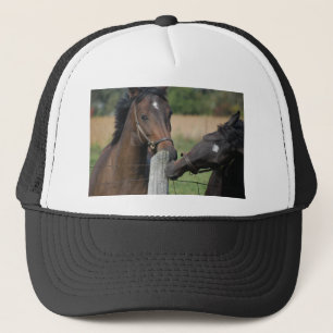 2 Paarden die een omheining kauwen Trucker Pet