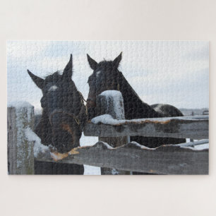2 Paarden die op een hek kauwen Legpuzzel