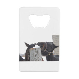 2 Paarden die op een Snowy Fence kauwen Creditkaart Flessenopener