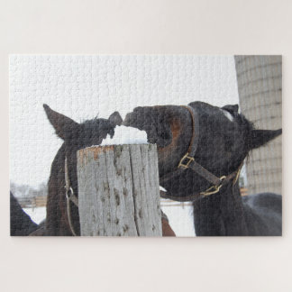 2 Paarden die op een Snowy Fence kauwen Legpuzzel