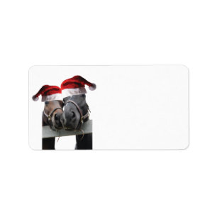 2 paarden met kerstcadeauPetten Etiket