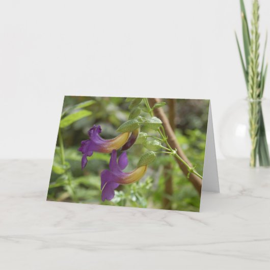 2 paarse bloemen kaart (Voorkant)