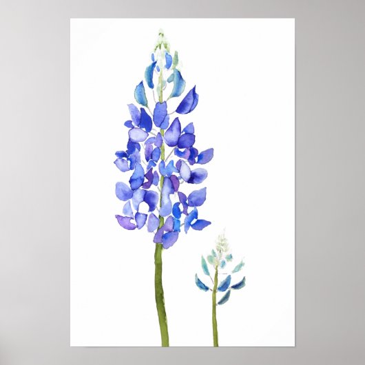2 paarse en blauwe botanische blauwe waterverf poster (Voorkant)
