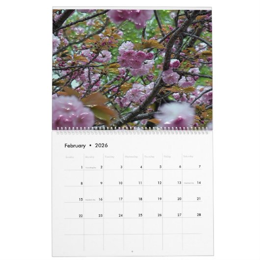 2 pagina's, grote witte kalender (Feb 2026)